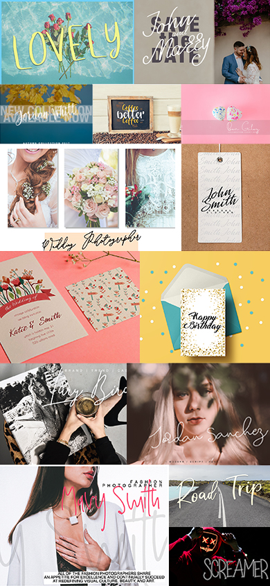 The BestTypeCo Fonts Bundle: 81 Exclusive Fonts with Commercial License