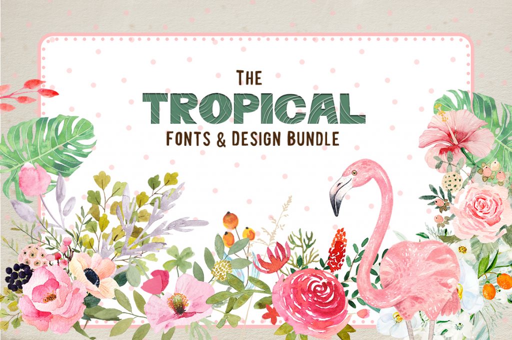 tropical fonts