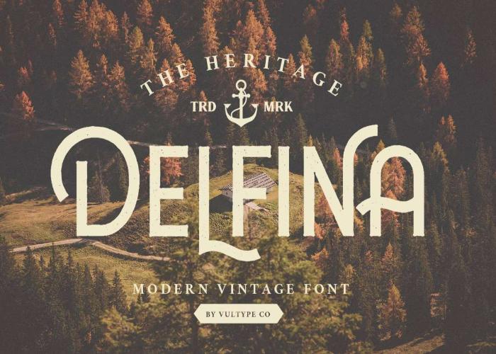 Delfina Classic Vintage Font Poster Preview