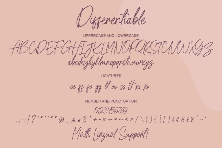Differentiable Handwritten Font Characters Preview Image