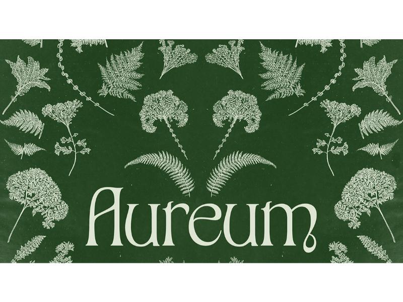 Aureum Vintage Font - By Anna Sing