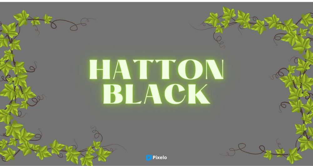 Hatton Black Vintage Font in Canva