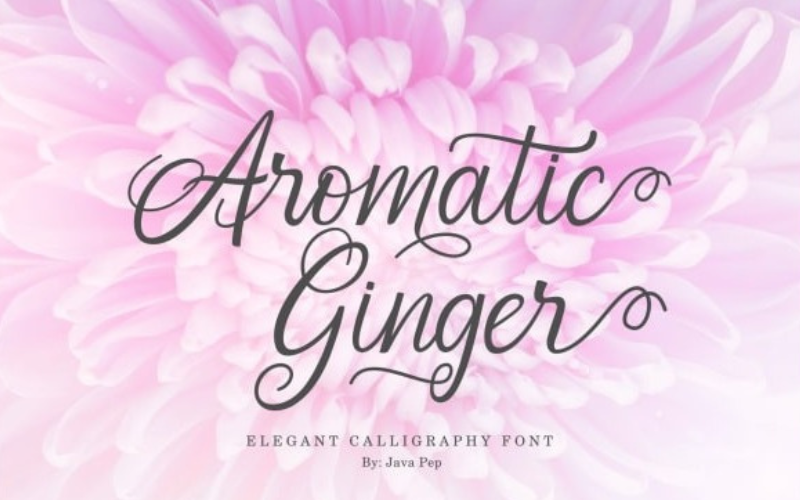 A pink flower in background with a beautiful script font on top of it in blue color