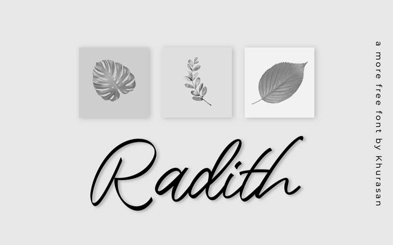 Radith font banner with leaves sketches