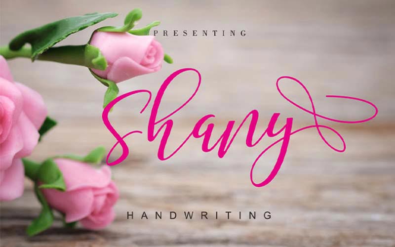 Shany font banner with pink roses lying