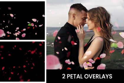 2 Petal Overlays