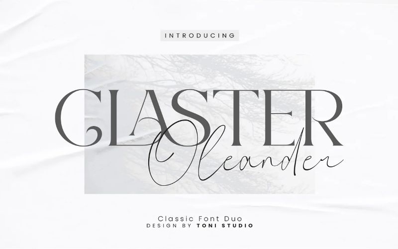 The Elegant Fonts Bundle