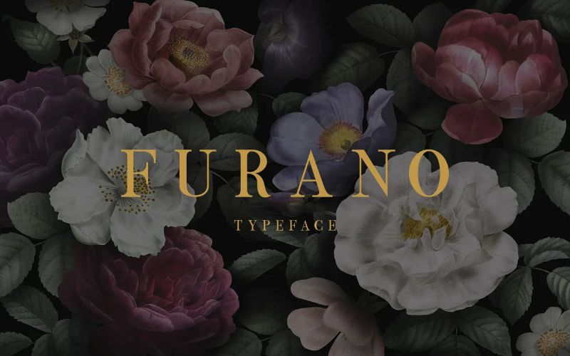 The Elegant Fonts Bundle