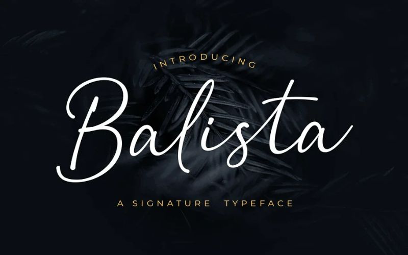 The Elegant Fonts Bundle