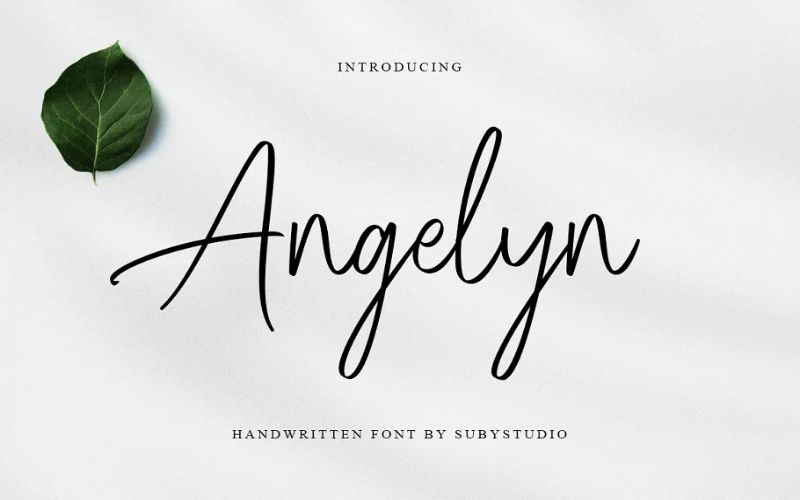 The Elegant Fonts Bundle