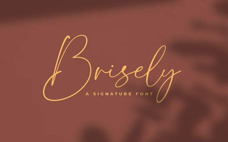 The Elegant Fonts Bundle