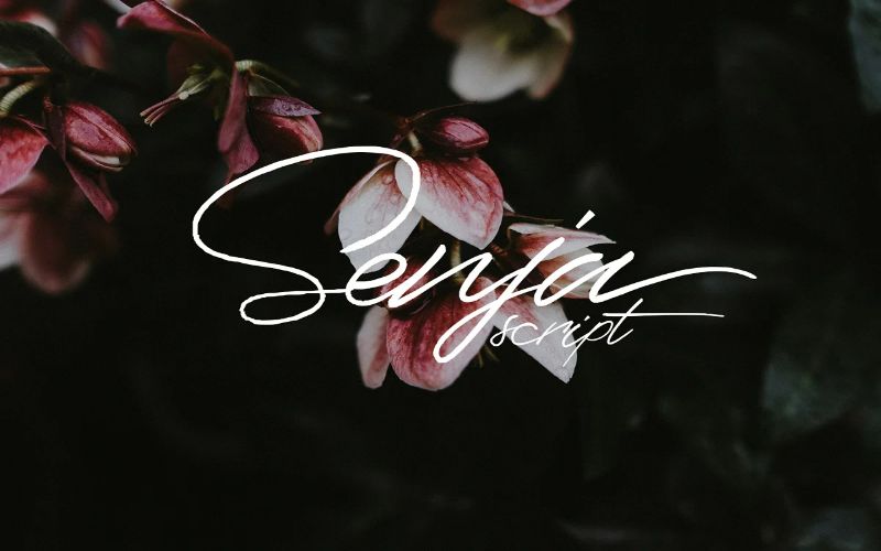 The Elegant Fonts Bundle