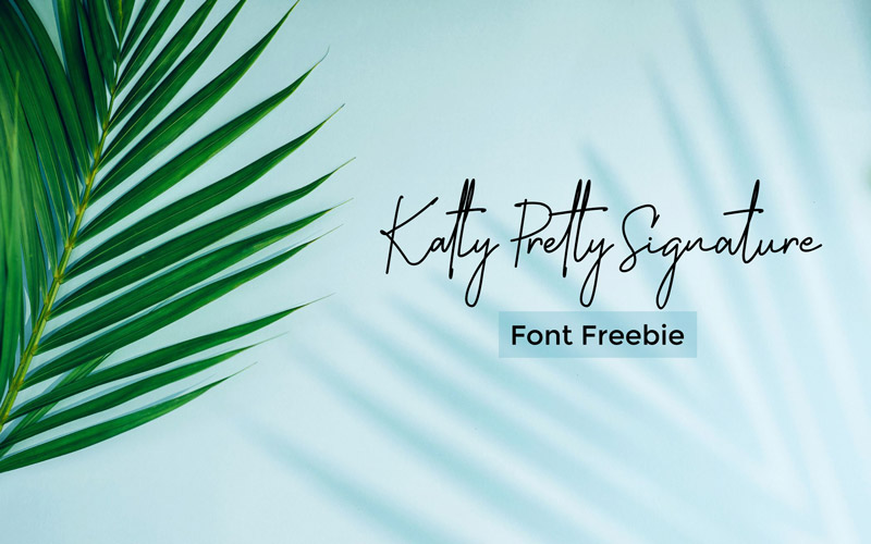 Katty Pretty Font Freebie