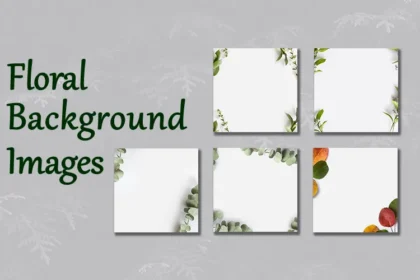 Free Floral Background Images Bundle Preview Image