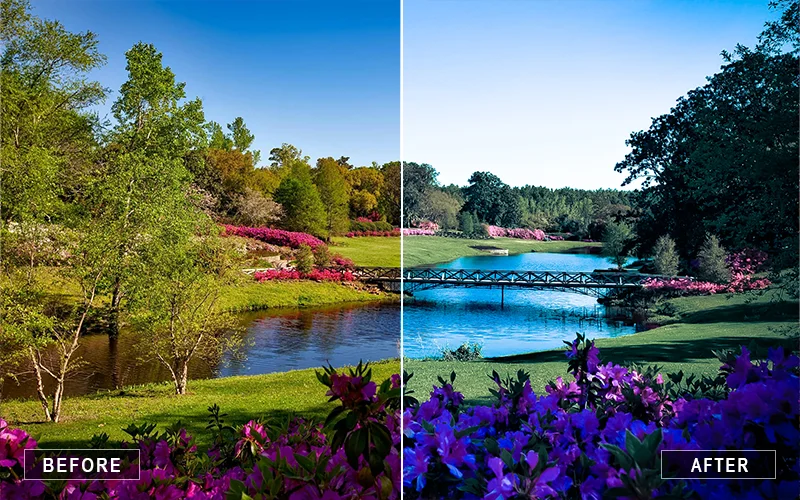 before and after using Landscape action